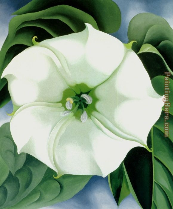 Jimson Weed 1932